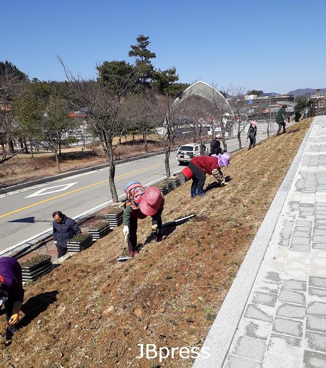 3-12 진안군, 마이산 북부 관광단지 봄꽃 식재사진.jpeg