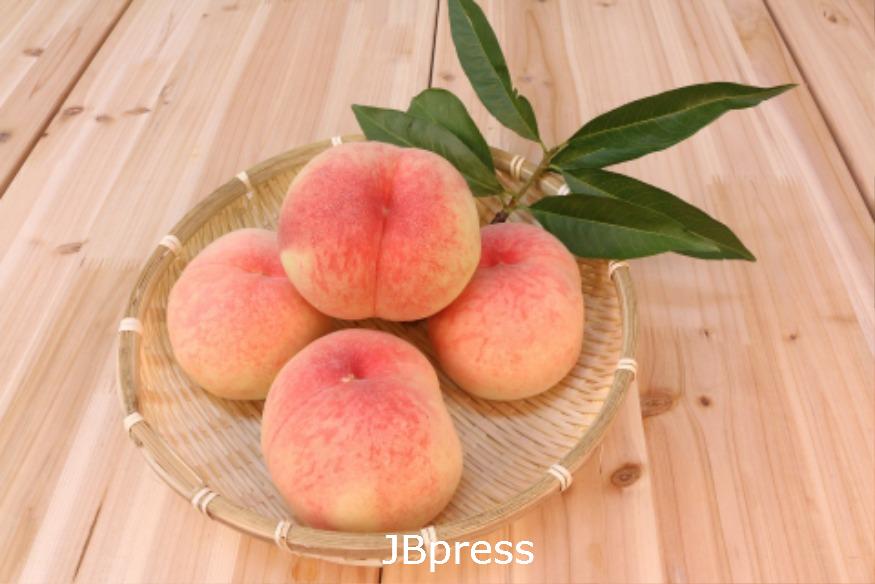 peach-583485_1920.jpg