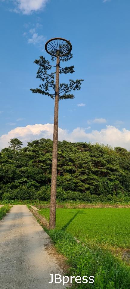 고창황새둥지탑설치사진 (1).jpeg
