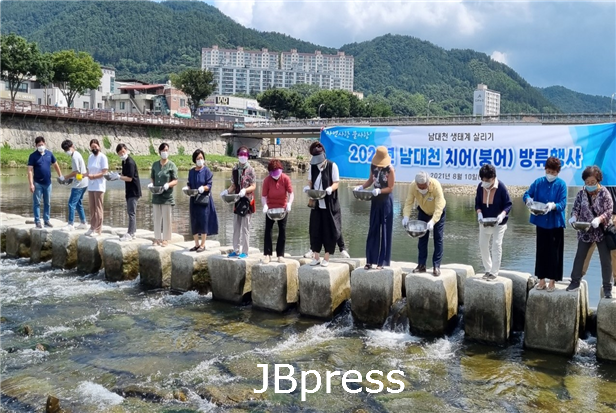 전북 치어방류.png