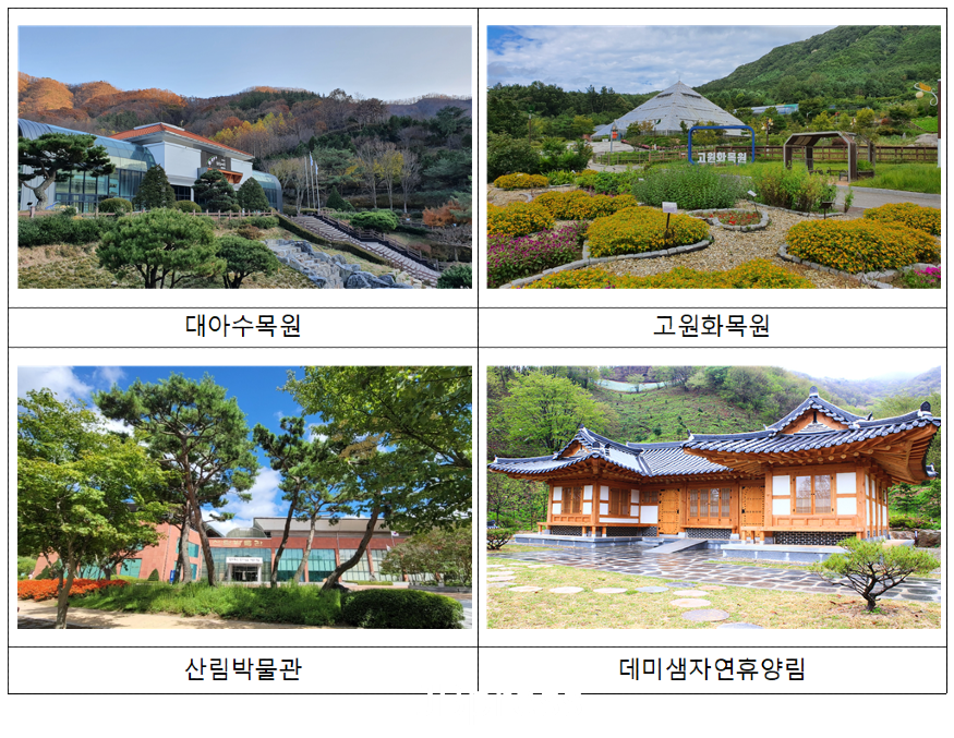 수목원.PNG