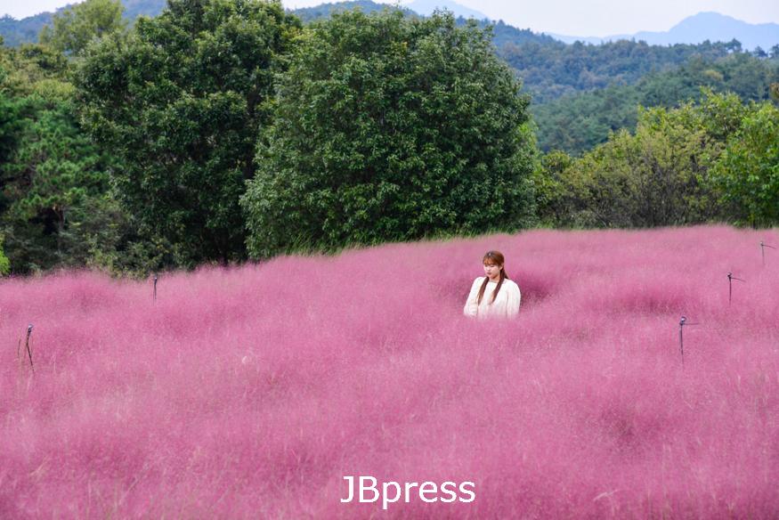 남원신생마을_꽃들의향연시작되다(1).jpg