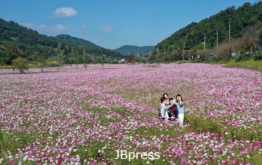 1006 대장금의 고향 정읍, “장금이 정원으로 꽃 구경 오세요” (1).jpg