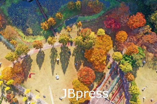 임실1.jpg