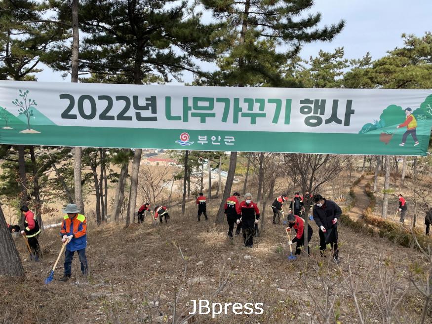 부안군_2022년나무가꾸기행사시행(2).jpeg