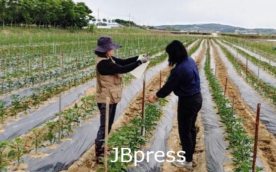 정읍.jpg