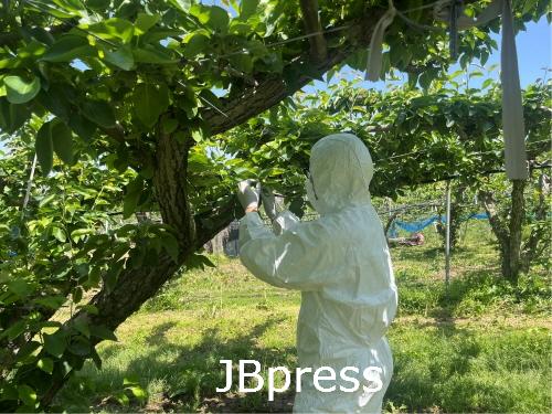 과수화상병방지정밀예찰.jpg