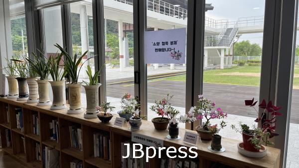 소양면_주민자치위특산품철쭉판매.jpg