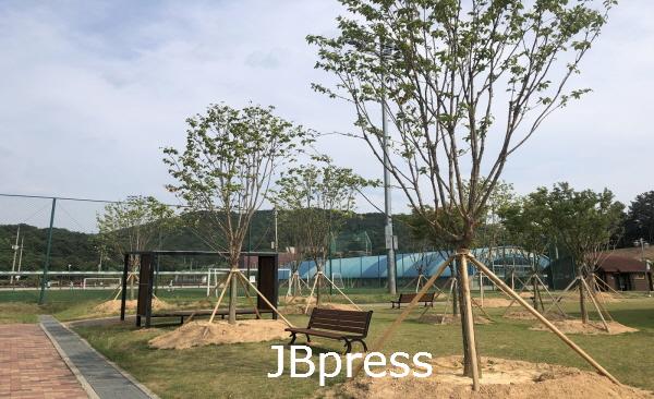 0620 정읍시, 정읍체육공원에 시원한 휴식공간 조성.JPG