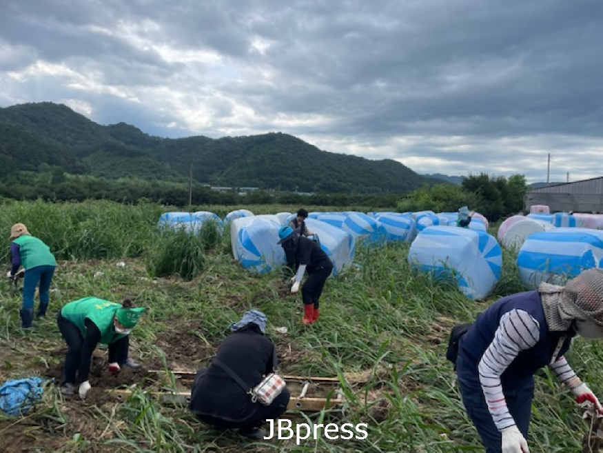 이서면_민간단체수해복구지원 (1).png