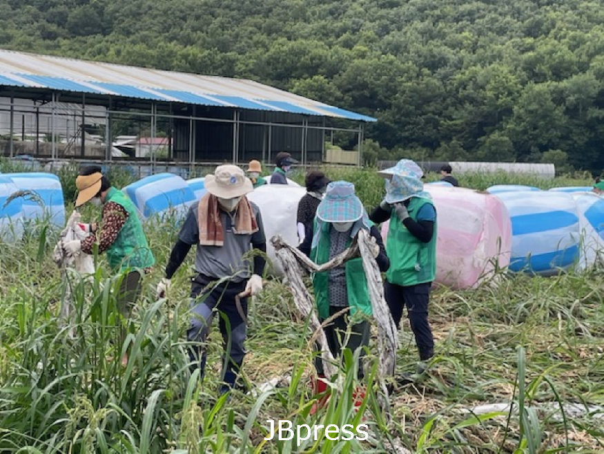 이서면_민간단체수해복구지원 (3).png