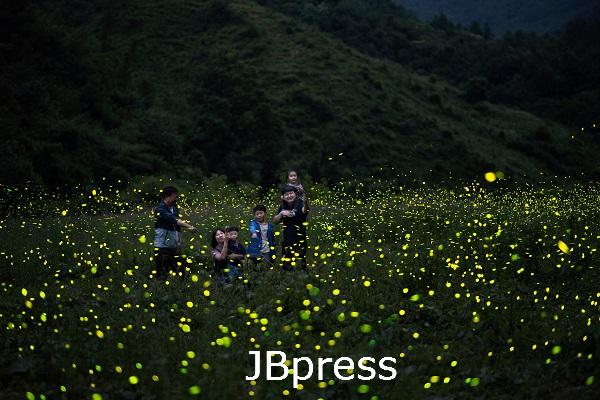 DSC_1105 - 무주군 반딧불이 신비탐사.jpg