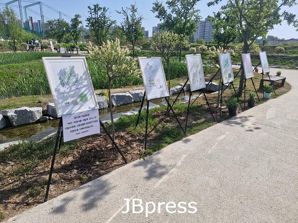 부안군, 제12회 마실축제 부안 자생식물 전시·체험 행사 개최1.jpg